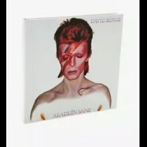 David Bowie Aladdin Sane Album Cover Journal New! Notebook Diary